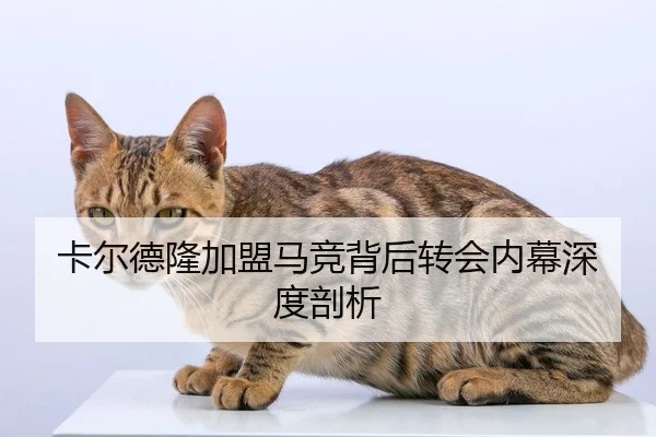 ka-er-de-long-jia-meng-ma-jing-bei-hou-zhuan-hui-nei-mu-shen-du-pou-xi-2-795.jpg