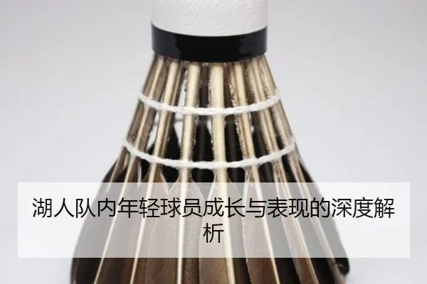 湖人队内年轻球员成长与表现的深度解析
